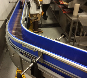 blue-uhmw-food-beverage-processing-conveyor