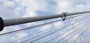 cable-stays-impact-bridge